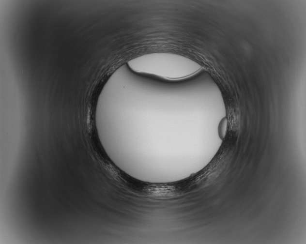 X0000098160670200804171219