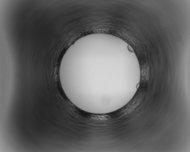 X0000098160671200804171219