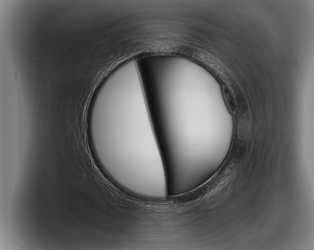 X0000098160673200804171218
