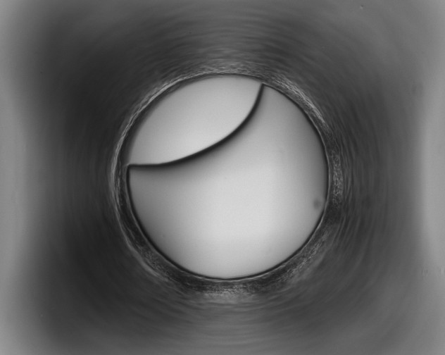 X0000098160674200804171218