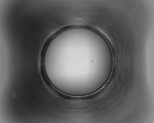 X0000098160677200804171218