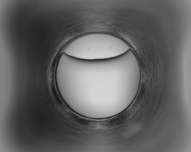 X0000098160679200804171218