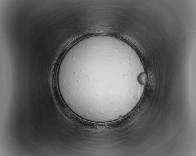 X0000098160682200804171218