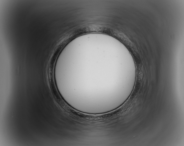 X0000098160683200804171218
