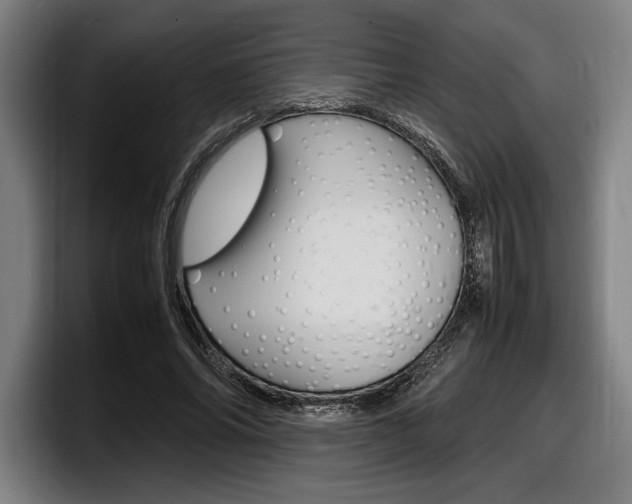 X0000098160686200804171218