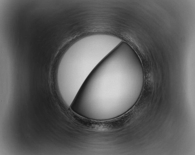 X0000098160688200804171218