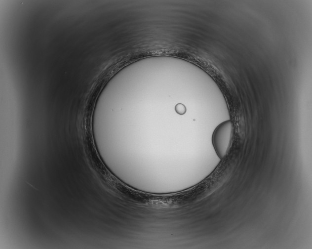 X0000098160690200804171218