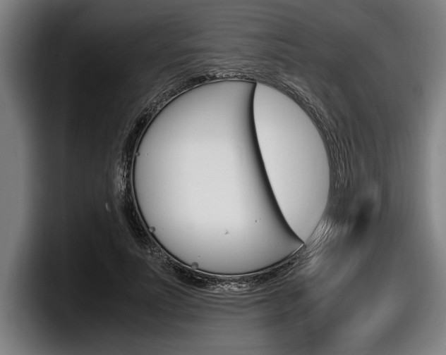 X0000098160691200804171218