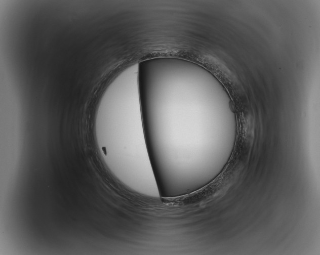 X0000098160692200804171218