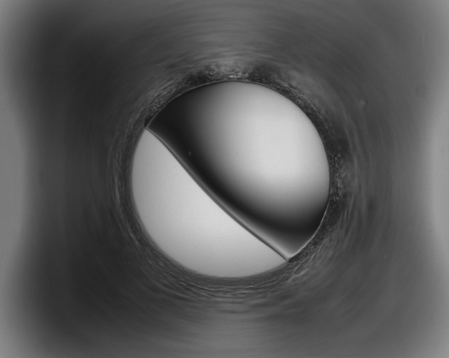 X0000098160693200804171218