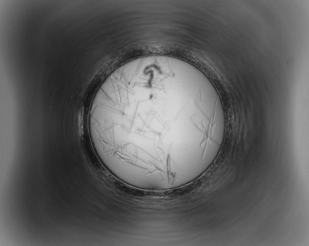 X0000098160694200804171218