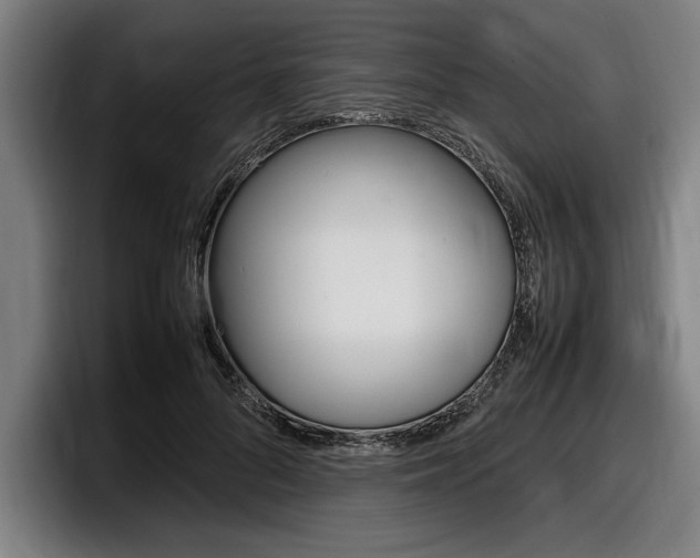 X0000098160696200804171218