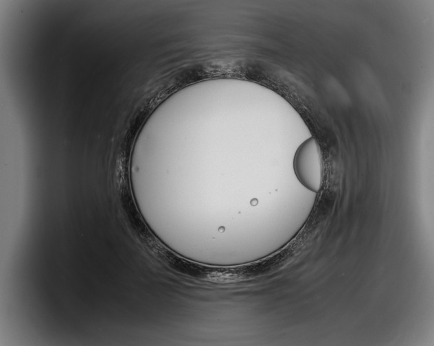 X0000098160699200804171218