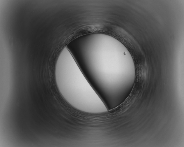 X0000098160700200804171218
