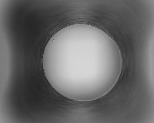 X0000098160701200804171218