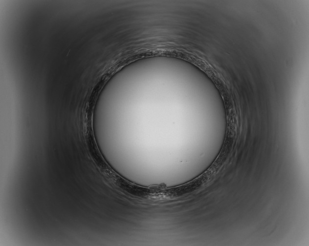 X0000098160704200804171218
