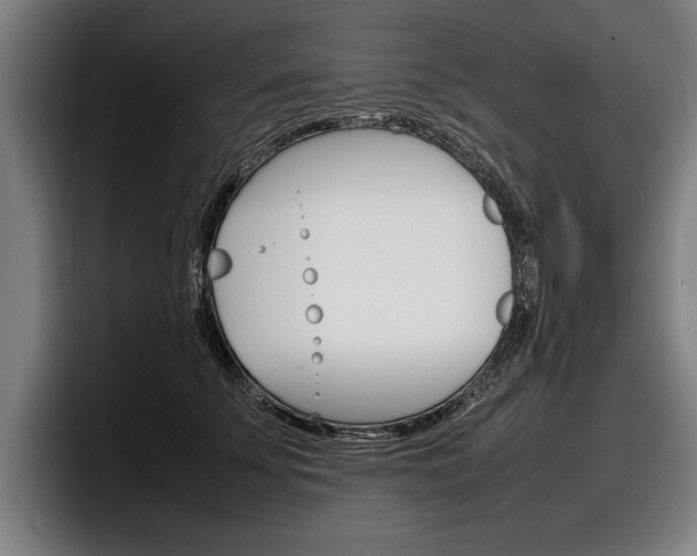 X0000098160707200804171218