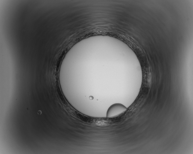 X0000098160710200804171218