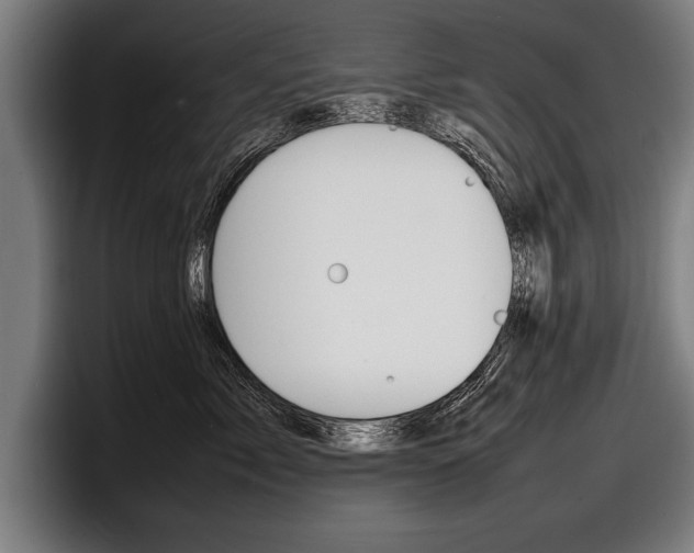 X0000098160717200804171218