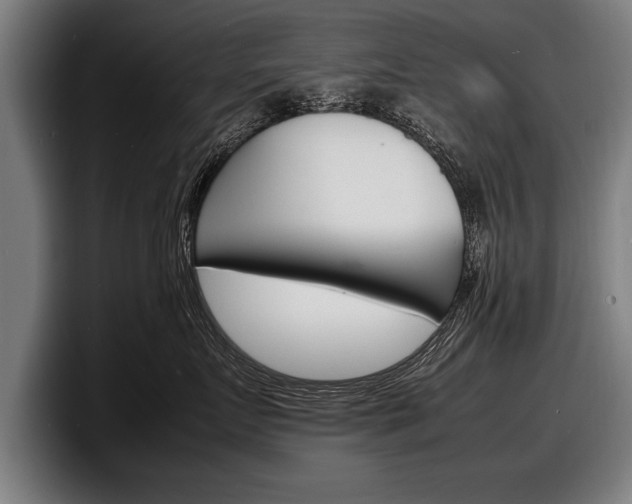 X0000098160719200804171218