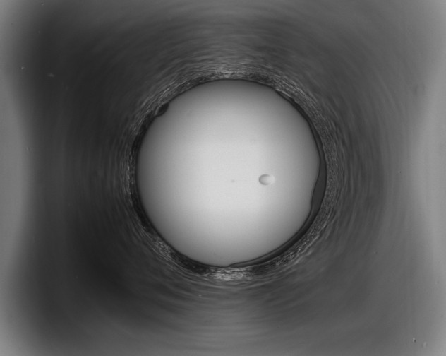 X0000098160720200804171217