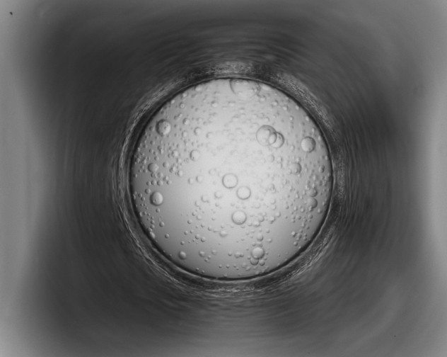 X0000098160721200804171217