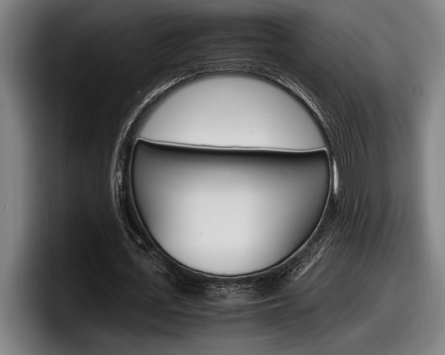 X0000098160723200804171217