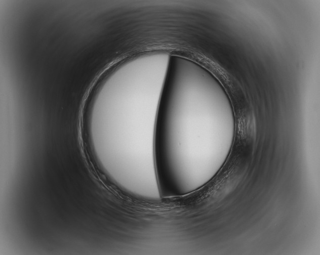 X0000098160724200804171217