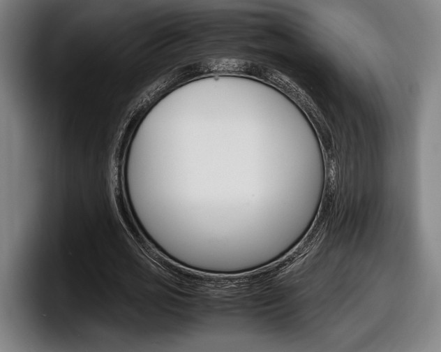 X0000098160725200804171217