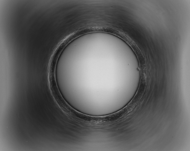 X0000098160728200804171217