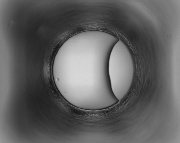 X0000098160729200804171217