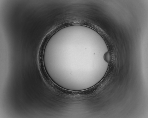 X0000098160730200804171217