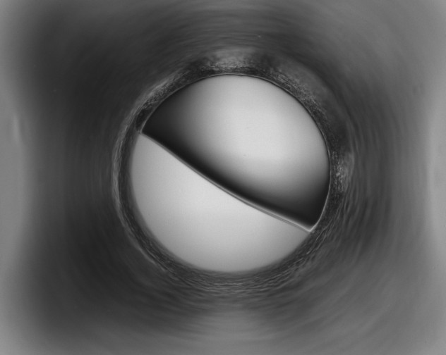 X0000098160732200804171217