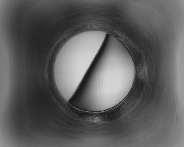 X0000098160735200804171217