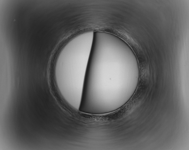 X0000098160736200804171217