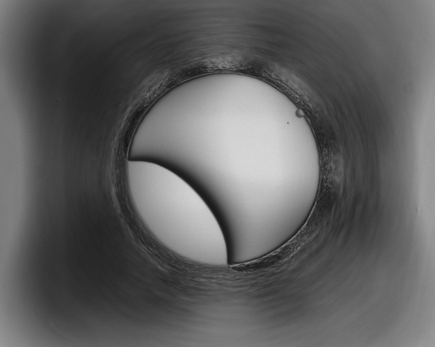 X0000098160738200804171217