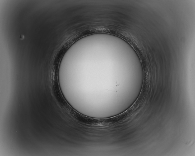 X0000098160739200804171217
