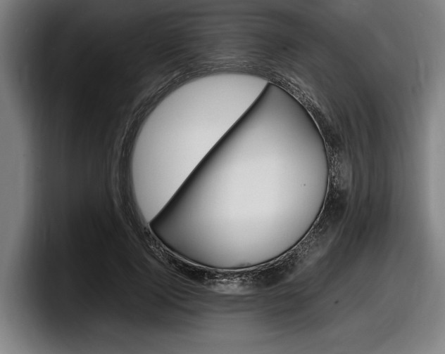 X0000098160740200804171217