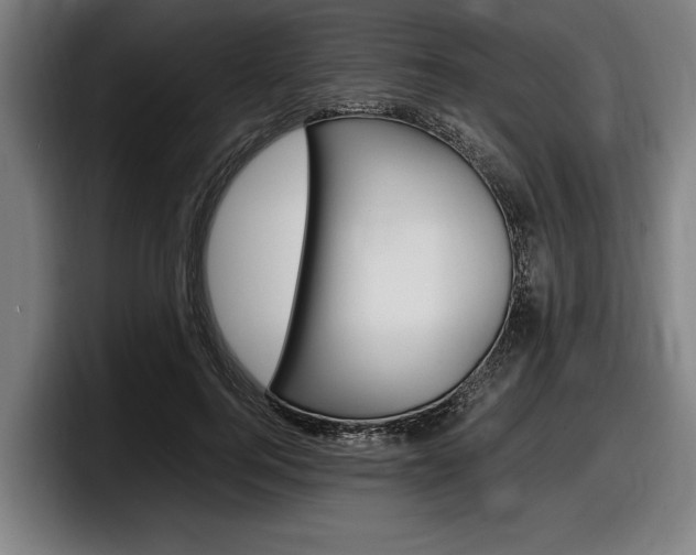 X0000098160744200804171217