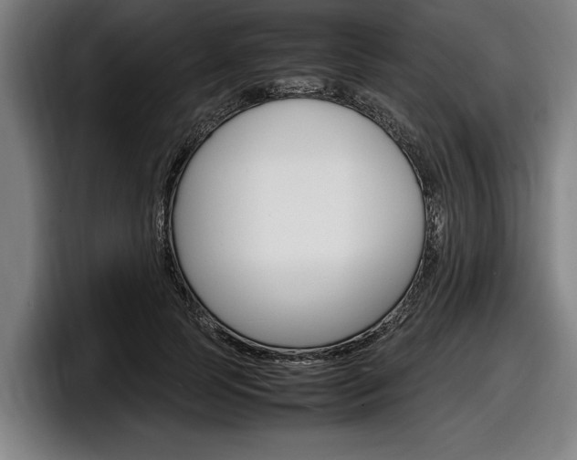 X0000098160745200804171217