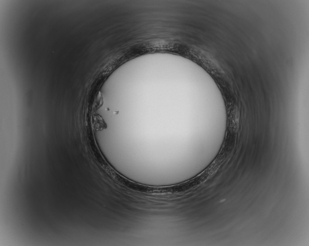 X0000098160746200804171217