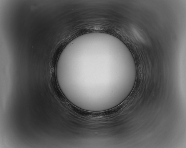 X0000098160747200804171217