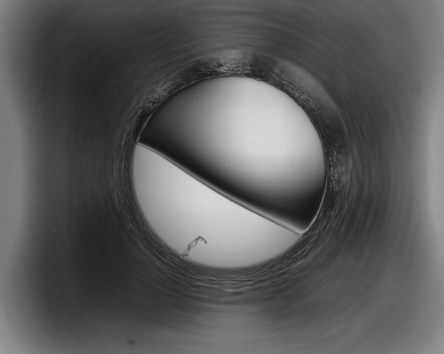 X0000098160748200804171217