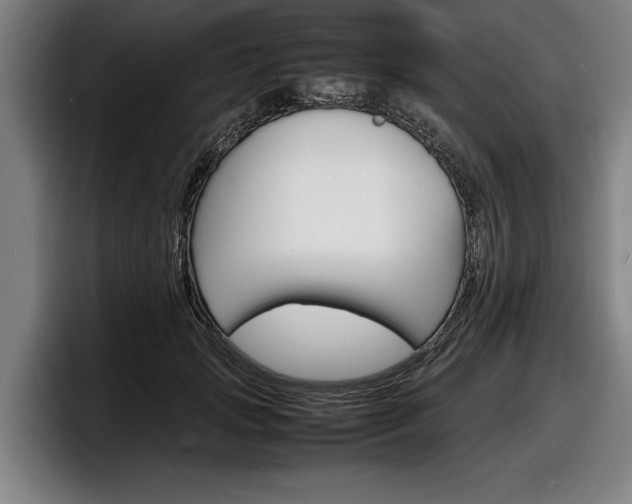X0000098160749200804171217