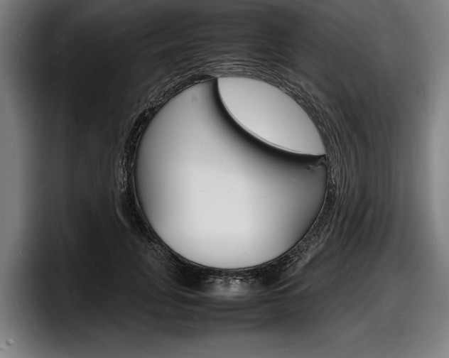 X0000098160751200804171217