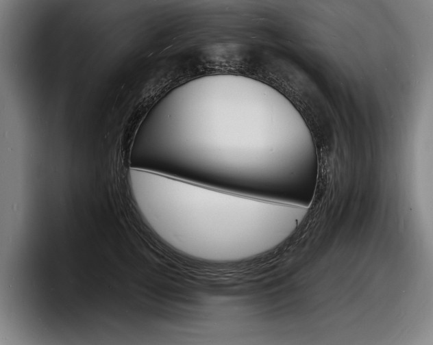 X0000098160752200804171217