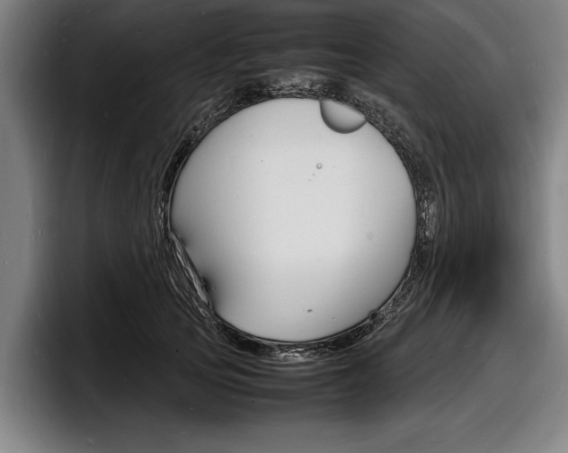 X0000098160753200804171217