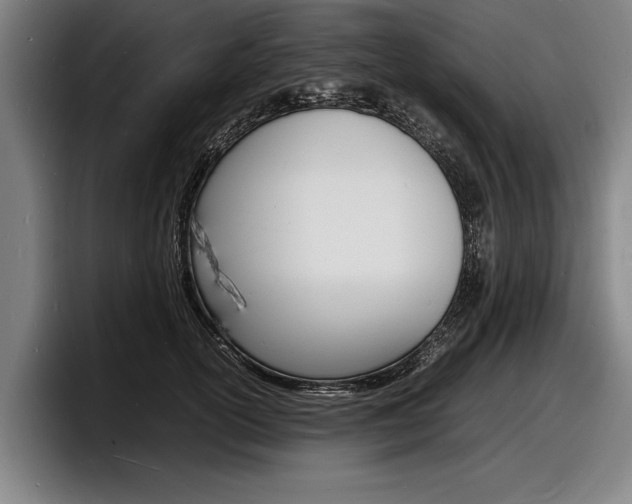 X0000098160754200804171217