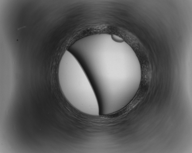 X0000098160758200804171217