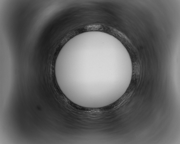 X0000098160761200804171217